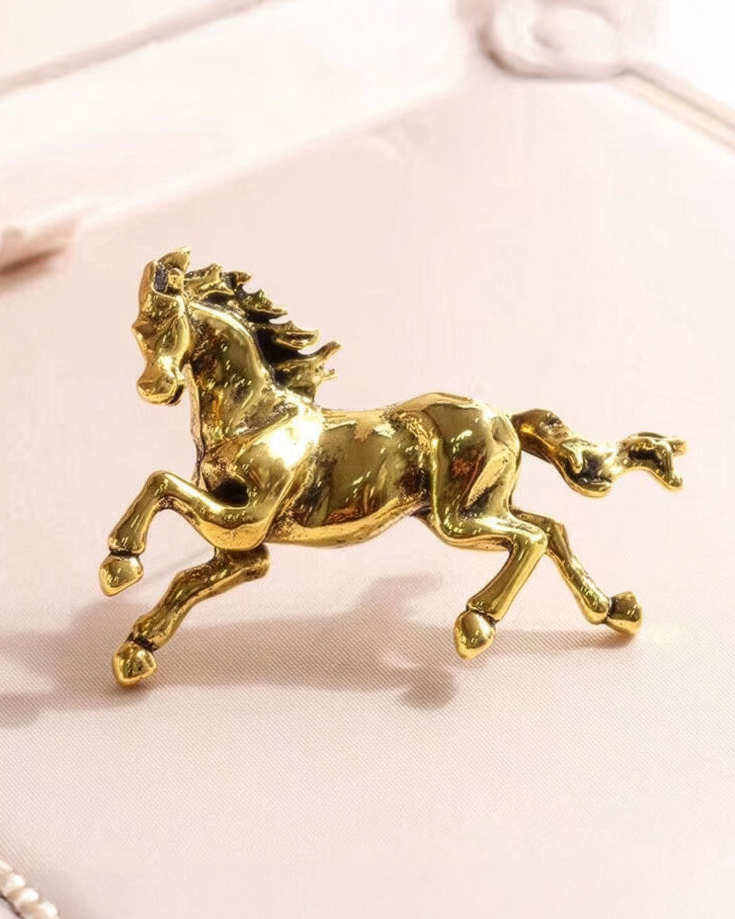 Broche galuchat doré