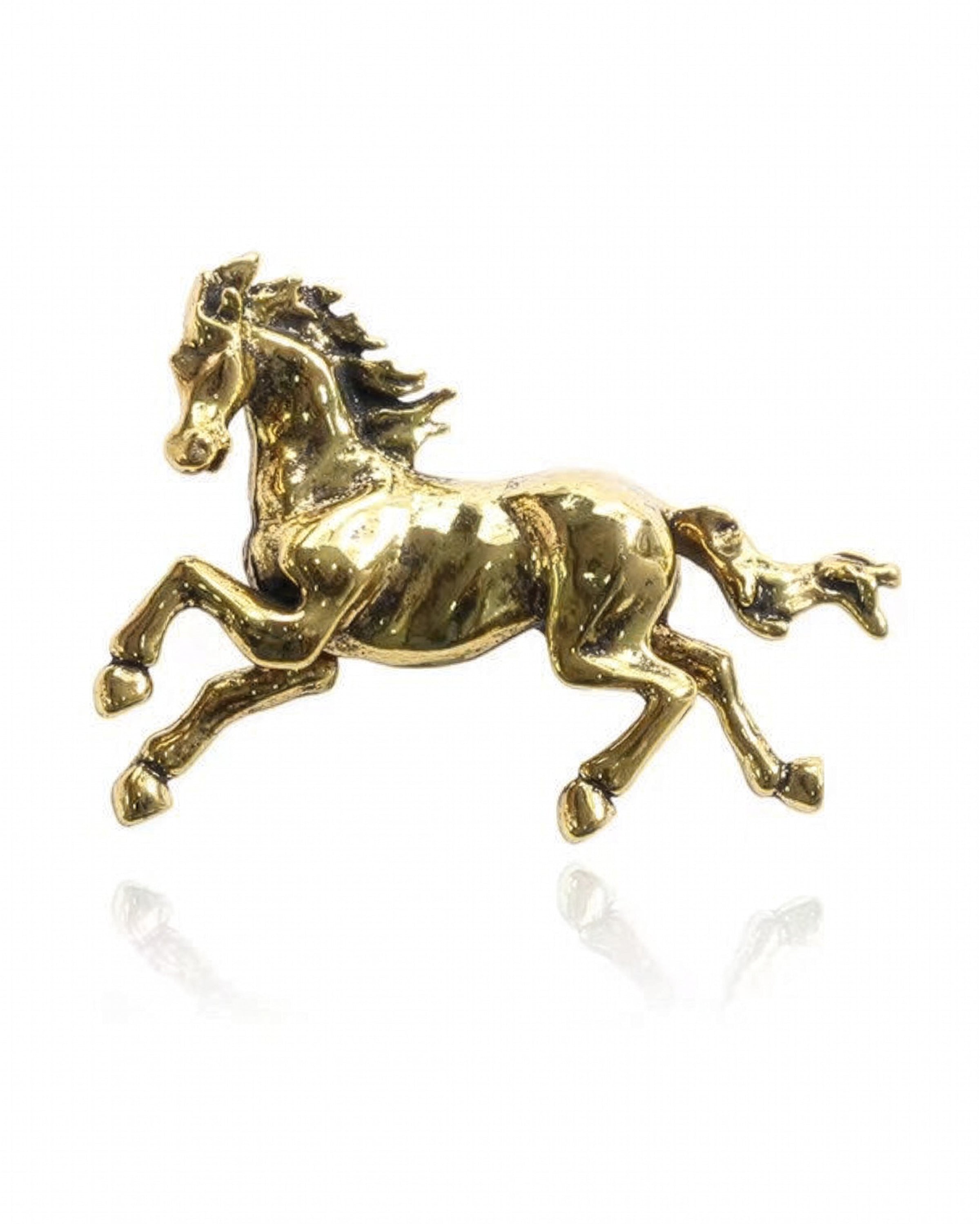 Broche galuchat doré