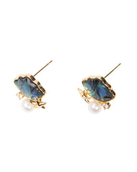 Boucles d'oreilles ormeau perle étoile de mer