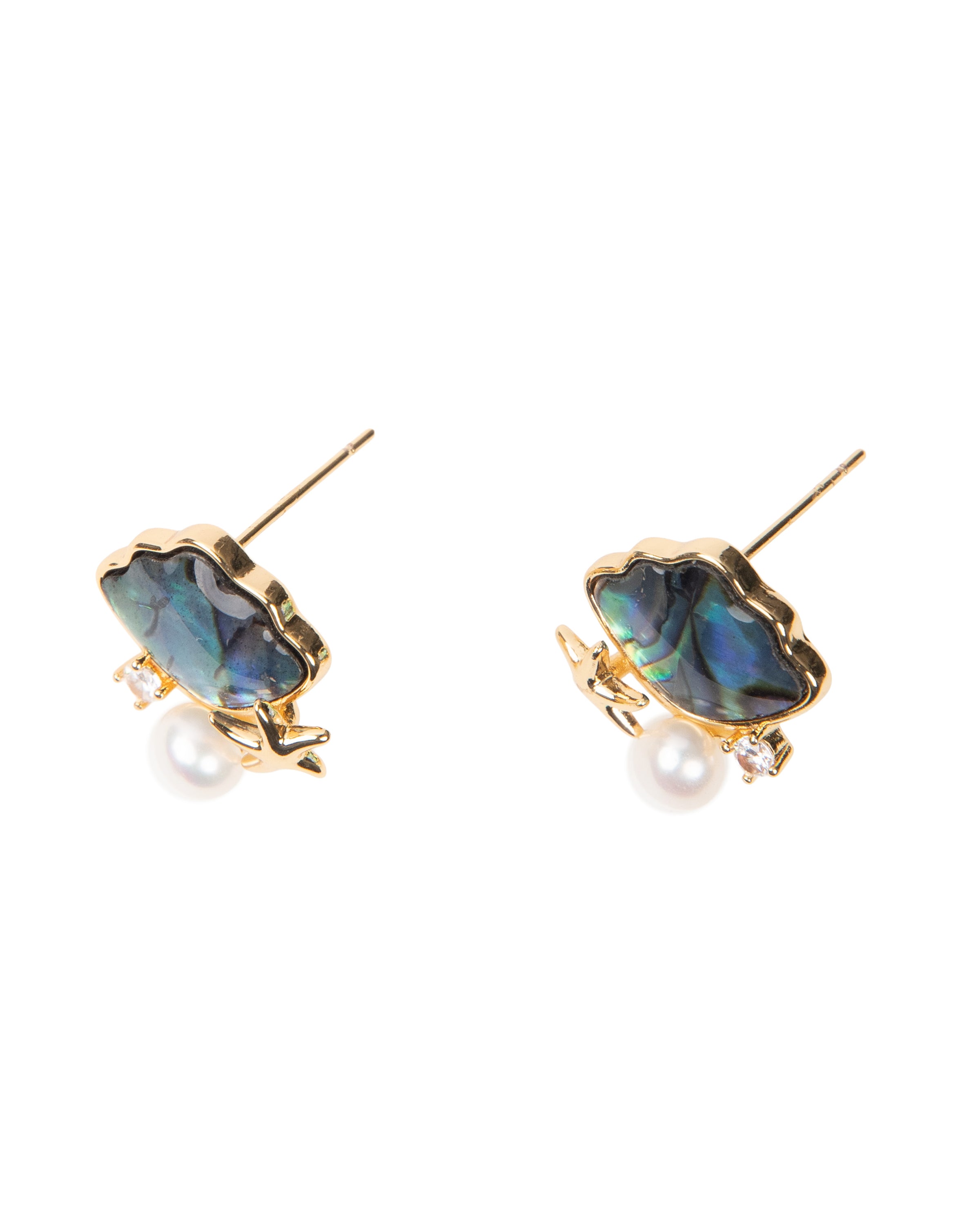 Boucles d'oreilles ormeau perle étoile de mer